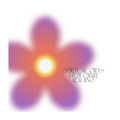 What Are My Spiritual Gifts?