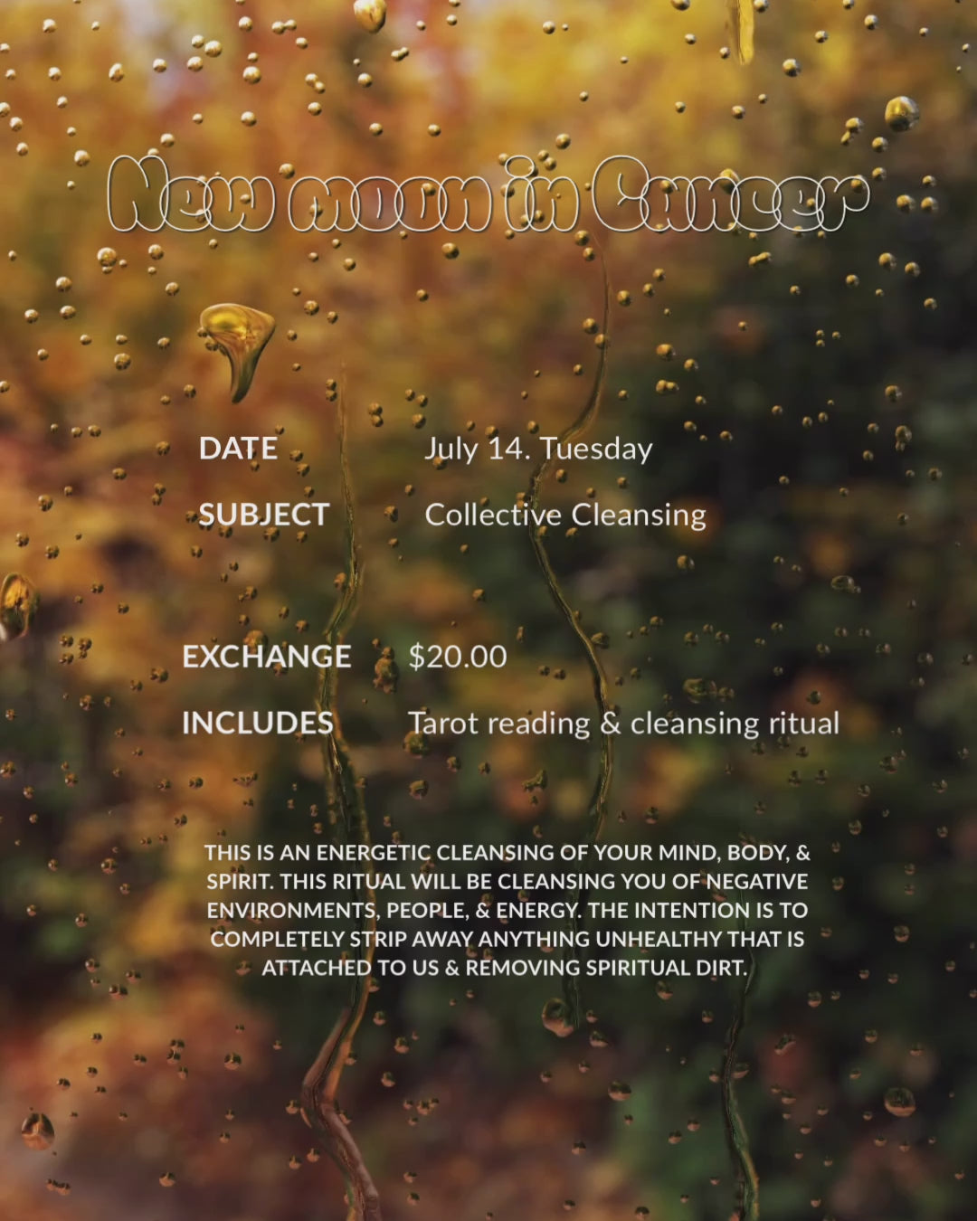 New Moon in Cancer Cleansing Ritual🌊